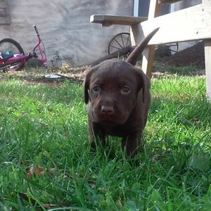 Meet your Posher, Kaylie